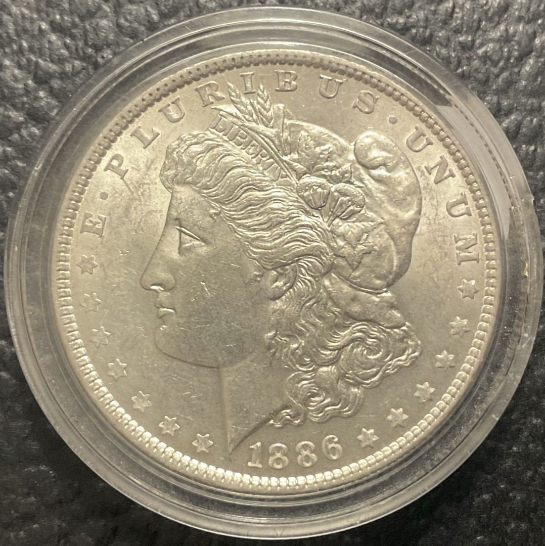 1886 Morgan Dollar